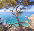 Cala Deia
