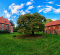 Stift Boerstel